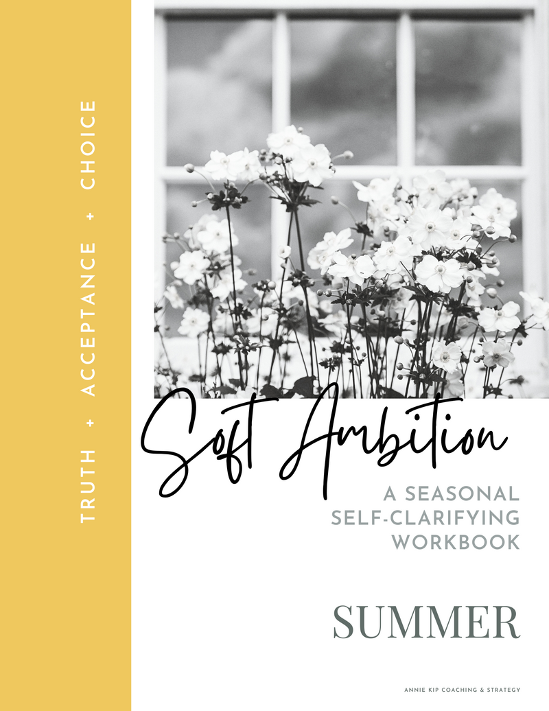 Workbook (digital download) - Soft Ambition Self-Clarifying Workbook, Summer edition