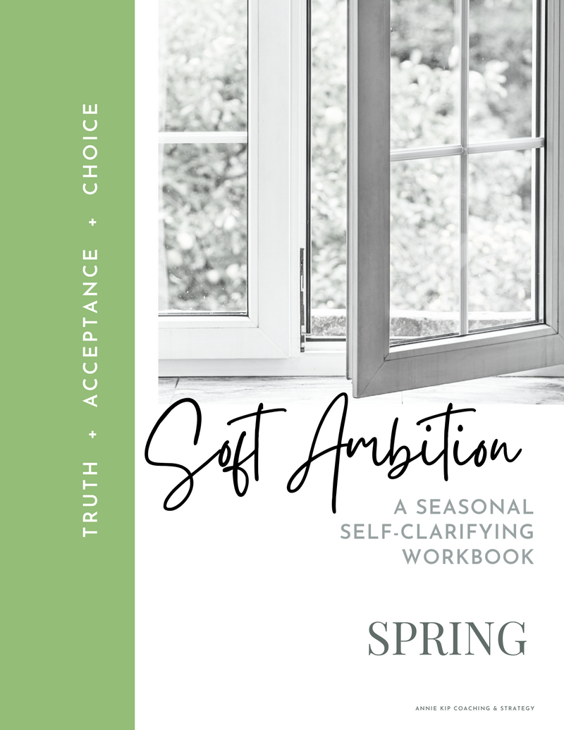 Workbook (digital download) - Soft Ambition Self-Clarifying Workbook, Spring edition