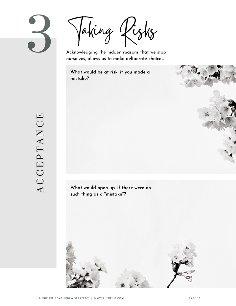 Workbook - Soft Ambition Self-Coaching Workbook, Spring edition (spiral-bound)