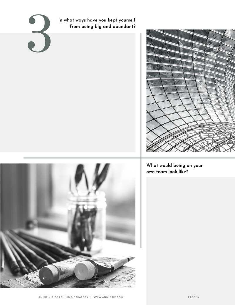 Workbook - Soft Ambition Self-Coaching Workbook, Summer edition (spiral-bound)