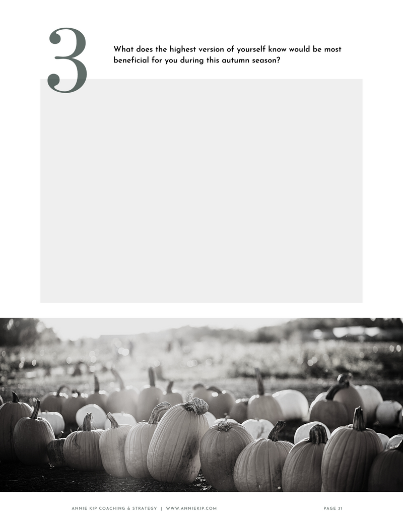 Workbook - Soft Ambition Self-Coaching Workbook, Autumn edition (spiral-bound)
