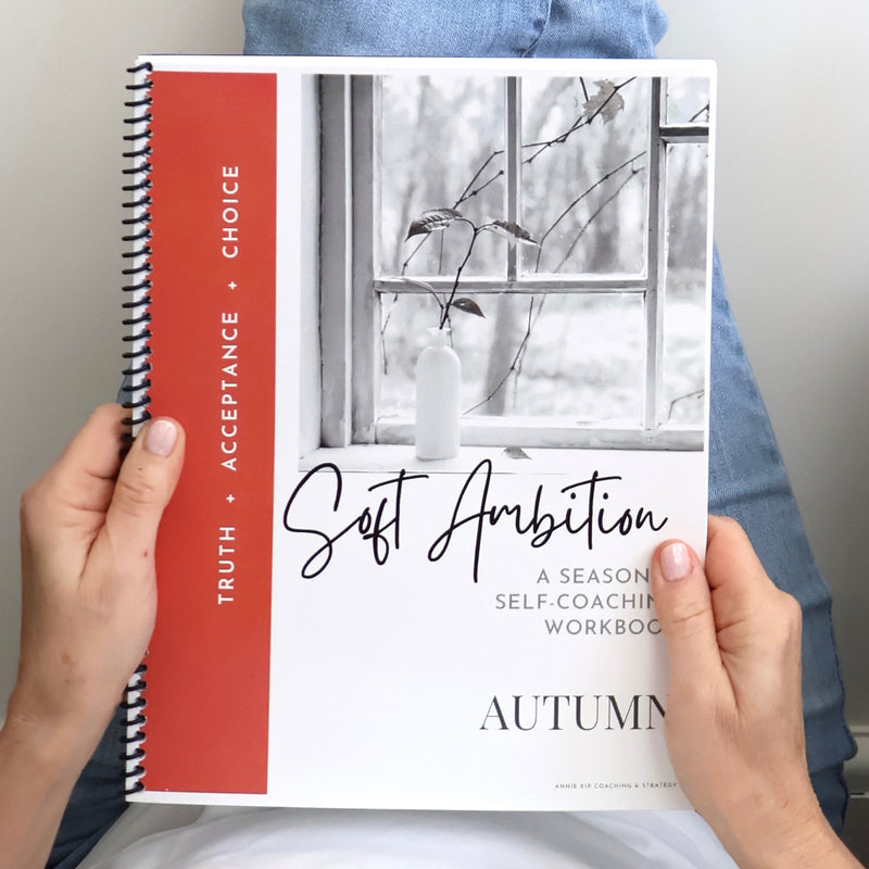 Workbook - 4 Seasons of the Soft Ambition Self-Coaching Workbook (spiral-bound)