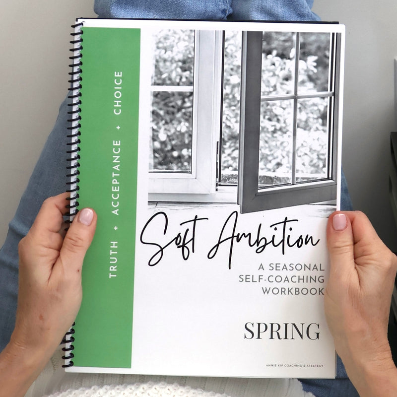 Workbook - 4 Seasons of the Soft Ambition Self-Coaching Workbook (spiral-bound)